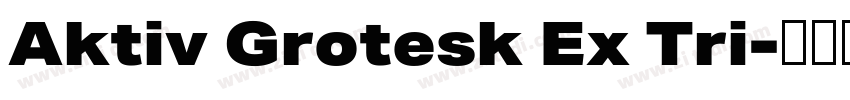 Aktiv Grotesk Ex Tri字体转换